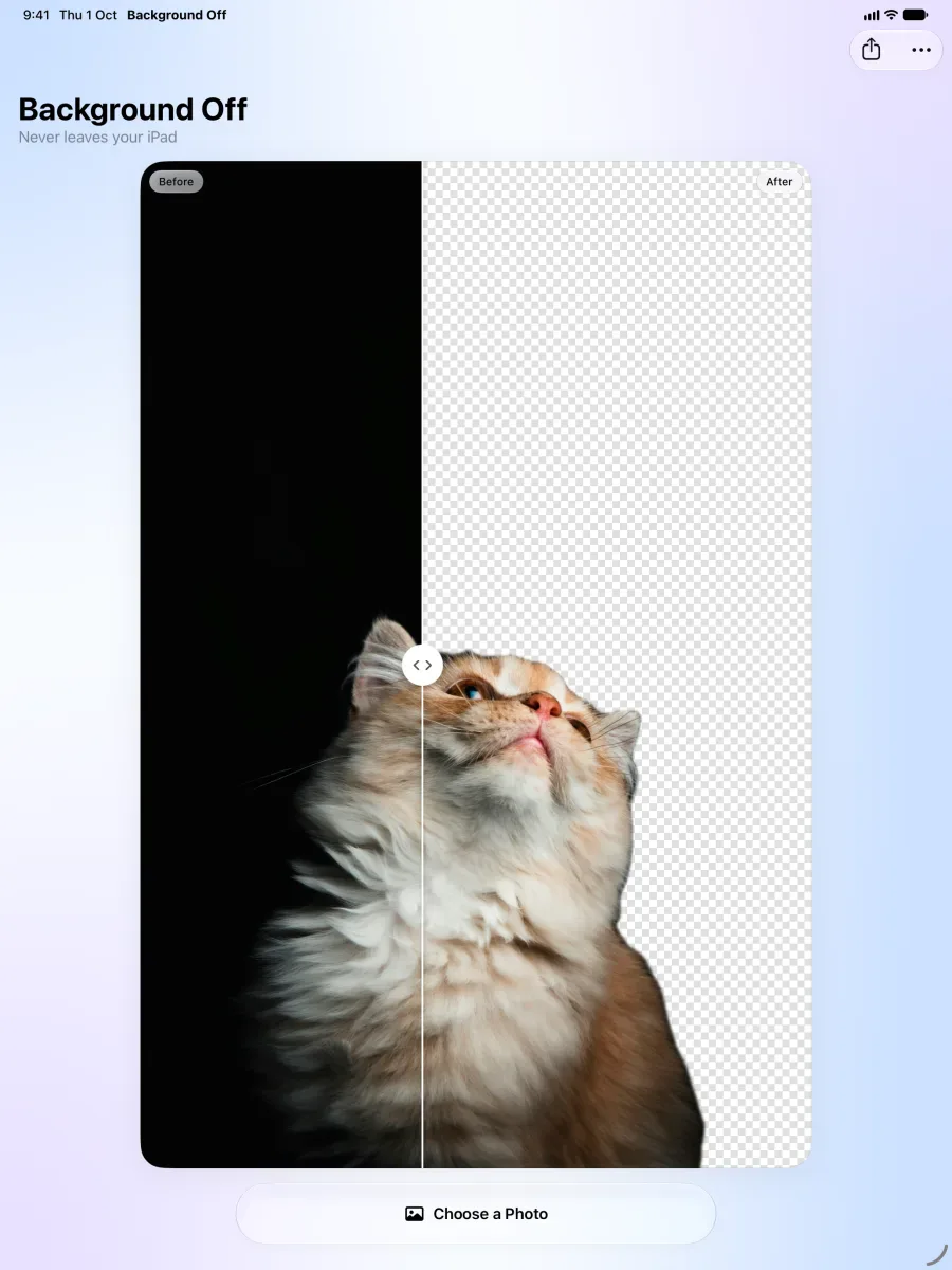 Background Off on iPad: a large before and after of a fluffy cat