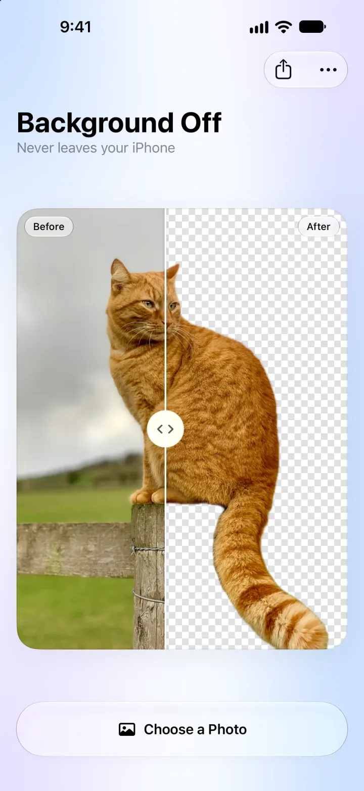 Background Off on iPhone: a ginger cat on a fence post, half the original photo, half cut out on a transparent checkerboard
